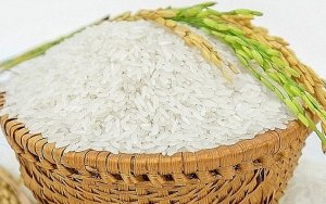 Gi&aacute; gạo Ch&acirc;u &Aacute; đang bị ai điều khiển? 