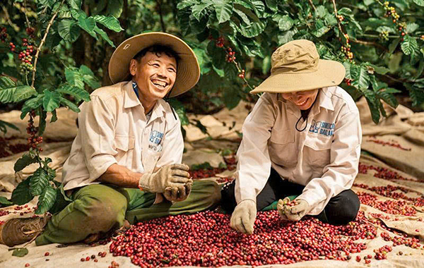 Sau 5 năm thực thi EVFTA: N&ocirc;ng sản Việt n&acirc;ng tầm vị thế