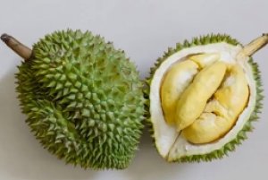 Gi&aacute; sầu ri&ecirc;ng h&ocirc;m nay 17/4: Sản lượng sầu ri&ecirc;ng Th&aacute;i Lan ước đạt 1,6 triệu tấn