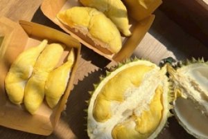 Gi&aacute; sầu ri&ecirc;ng h&ocirc;m 2/10: Tăng trở lại 1.000 - 10.000 đồng/kg