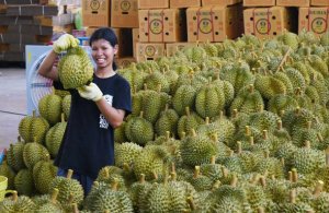 Ch&acirc;u &Aacute; năng động: Trung t&acirc;m mới của sự tăng trưởng