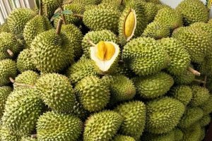 Gi&aacute; sầu ri&ecirc;ng h&ocirc;m 5/5: Chịu &aacute;p lực khi xuất khẩu gặp kh&oacute;