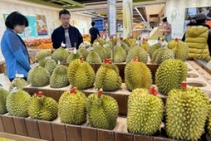 Sầu ri&ecirc;ng chiếm gần một nửa tổng kim ngạch xuất khẩu rau quả của Việt Nam