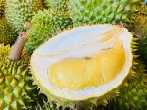 Soán ngôi Thái Lan, Việt Nam trở thành nước xuất khẩu sầu riêng lớn nhất vào Trung Quốc