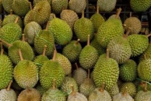 Gi&aacute; sầu ri&ecirc;ng h&ocirc;m nay 18/11: Sầu ri&ecirc;ng tiếp tục c&oacute; kim ngạch xuất khẩu cao nhất ở ng&agrave;nh rau quả