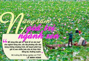 N&acirc;ng tầm gi&aacute; trị ng&agrave;nh Sen