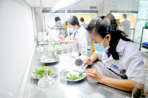 Để TPHCM trở th&agrave;nh trung t&acirc;m sản xuất giống của khu vực