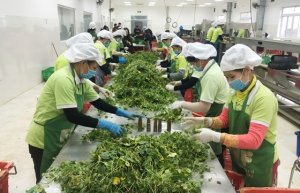 Xuất khẩu n&ocirc;ng sản chế biến tăng vọt