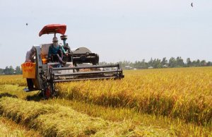 Cơ giới h&oacute;a n&ocirc;ng nghiệp, n&acirc;ng cao gi&aacute; trị sản phẩm