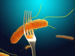 Cảm biến sinh học c&oacute; thể x&aacute;c định sự hiện diện nhỏ của Salmonella chỉ trong v&agrave;i giờ
