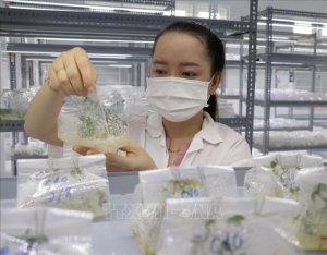 Tạo bước đột ph&aacute; ph&aacute;t triển ng&agrave;nh c&ocirc;ng nghệ sinh học