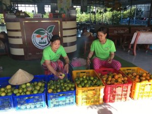 Đồng Th&aacute;p: T&aacute;i cơ cấu n&ocirc;ng nghiệp được triển khai đ&uacute;ng hướng 