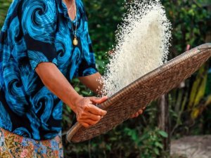 Tăng vựa l&uacute;a to&agrave;n cầu m&agrave; kh&ocirc;ng g&acirc;y hại cho h&agrave;nh tinh