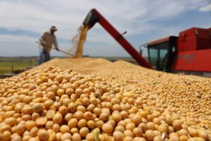 Hai gợi &yacute; từ nền n&ocirc;ng nghiệp của Argentina