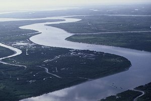 Chất lượng đất ph&ugrave; sa th&acirc;m canh l&uacute;a ba vụ v&ugrave;ng đồng bằng s&ocirc;ng cửu long v&agrave; nhận định một số nguy&ecirc;n nh&acirc;n ch&iacute;nh g&acirc;y suy tho&aacute;i