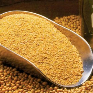 Ngược d&ograve;ng nh&oacute;m n&ocirc;ng sản, v&igrave; sao gi&aacute; kh&ocirc; đậu tương duy tr&igrave; ở v&ugrave;ng gi&aacute; cao nhất trong gần 1 thập kỷ? 