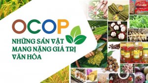 OCOP tạo kh&ocirc;ng gian ph&aacute;t triển kinh tế cho khu vực n&ocirc;ng th&ocirc;n