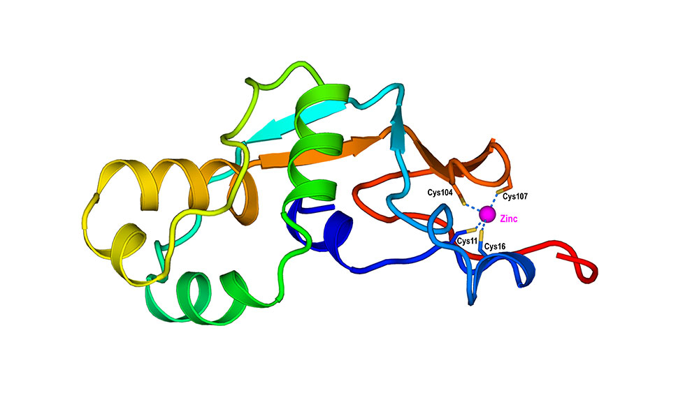 Sử dụng AI để dự đo&aacute;n cấu tr&uacute;c v&agrave; chức năng của protein
