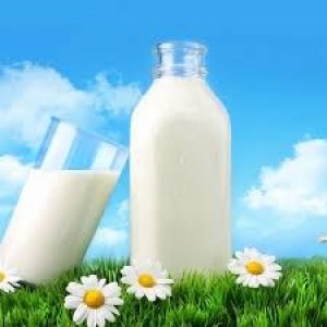 Việt Nam tăng mạnh nhập khẩu sữa v&agrave; sản phẩm từ hai thị trường Bỉ v&agrave; Nhật Bản