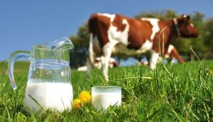 FAO: Gi&aacute; thực phẩm thế giới tiếp tục giảm trong th&aacute;ng 1