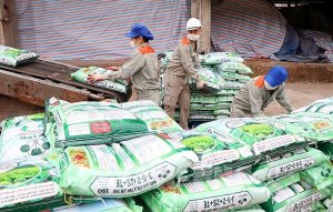 Gi&aacute; ph&acirc;n b&oacute;n tăng, thị trường vẫn trong tầm kiểm so&aacute;t