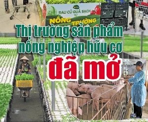 Thị trường sản phẩm n&ocirc;ng nghiệp hữu cơ đ&atilde; mở