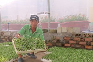 Bản quyền giống c&acirc;y trồng: Việc cần l&agrave;m ngay