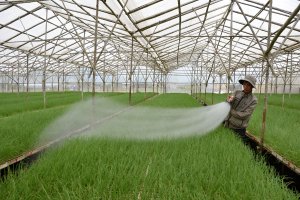 Ph&aacute;t triển NNCNC: C&aacute;c giải ph&aacute;p cần đồng bộ