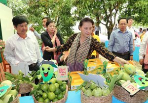 Đồng Th&aacute;p, &ldquo;điểm s&aacute;ng&rdquo; kinh tế n&ocirc;ng nghiệp
