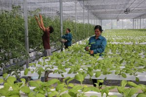 KHCN trong kinh tế vườn: &ldquo;Đi ngay, đi nhanh v&agrave; đi ch&iacute;nh x&aacute;c&rdquo;