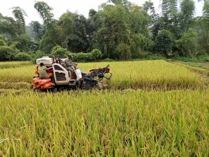 Đầu tư v&agrave;o n&ocirc;ng nghiệp: V&igrave; sao doanh nghiệp chưa &ldquo;mặn m&agrave;&rdquo;?