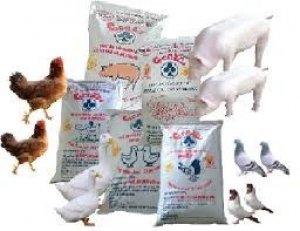 Kim ngạch nhập khẩu TĂCN v&agrave; nguy&ecirc;n liệu của Việt Nam 6 th&aacute;ng đầu năm 2016 giảm 10,65%