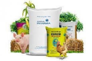 Xuất khẩu thức ăn gia s&uacute;c 5 th&aacute;ng đầu năm 2022 tiếp tục tăng