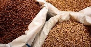 Trung Quốc &ndash; thị trường chủ lực xuất khẩu thức ăn gia s&uacute;c v&agrave; nguy&ecirc;n liệu