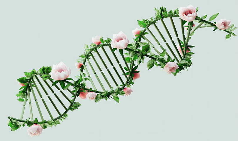 Tại sao DNA l&agrave; thư viện v&ocirc; tận của sự sống