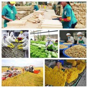 Thủ tướng: Năm 2022, ng&agrave;nh N&ocirc;ng nghiệp phải tăng tr&ecirc;n 3%, XK tr&ecirc;n 50 tỷ USD