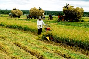 Tận dụng cơ hội, ph&aacute;t triển nhanh v&agrave; bền vững n&ocirc;ng nghiệp, n&ocirc;ng d&acirc;n, n&ocirc;ng th&ocirc;n