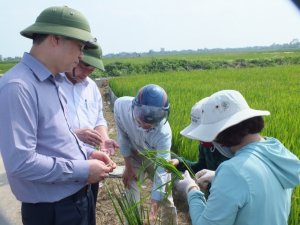  Th&uacute;c đẩy giải ph&aacute;p sinh học, hướng tới nền n&ocirc;ng nghiệp hữu cơ Giải ph&aacute;p sinh học l&agrave; y&ecirc;u cầu tất yếu 