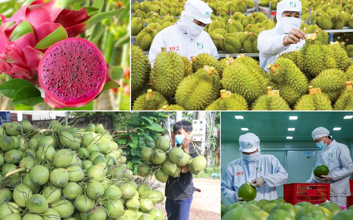 Tạo động lực th&uacute;c đẩy xuất khẩu rau quả