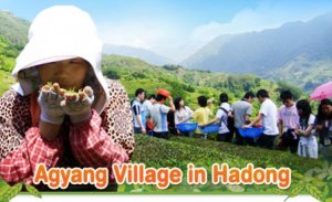 Hệ thống canh t&aacute;c bền vững tại T&acirc;y Ban Nha, Trung Quốc v&agrave; Triều Ti&ecirc;n được c&ocirc;ng nhận to&agrave;n cầu