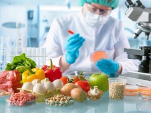 Nghi&ecirc;n cứu đầu ti&ecirc;n của Vương quốc Anh về c&aacute;c h&oacute;a chất tổng hợp được t&igrave;m thấy trong thực phẩm