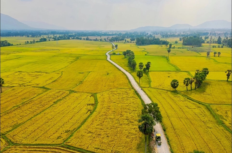 Th&aacute;ch thức giảm ph&aacute;t thải kh&iacute; nh&agrave; k&iacute;nh từ canh t&aacute;c l&uacute;a