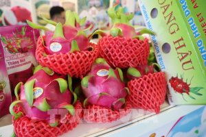 Xuất si&ecirc;u n&ocirc;ng l&acirc;m thủy sản tăng gấp gần 2,9 lần trong 2 th&aacute;ng
