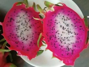 C&aacute;c nh&agrave; nghi&ecirc;n cứu Trung Quốc ph&aacute;t triển giống thanh long hai m&agrave;u mới