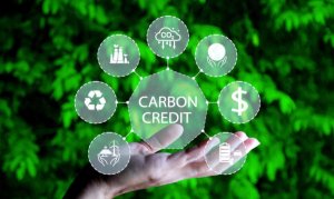 Ph&aacute;t triển thị trường carbon để th&uacute;c đẩy chuyển đổi xanh