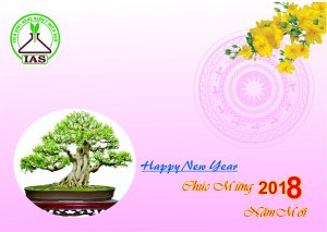 Ch&uacute;c mừng năm mới