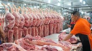 Thị trường heo hơi th&aacute;ng 2/2023: Đi ngược thế giới, gi&aacute; heo tại Việt Nam giảm