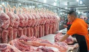 Bản tin thị trường thịt trong nước v&agrave; thế giới th&aacute;ng 10.2023 