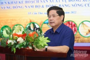  Năng suất l&uacute;a thu đ&ocirc;ng ĐBSCL tăng cao: C&aacute;c địa phương l&ecirc;n phương &aacute;n t&iacute;nh to&aacute;n lại m&ugrave;a vụ 