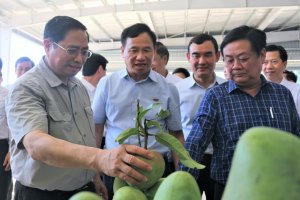 N&ocirc;ng nghiệp - PTNT năm 2024: Vượt gian kh&oacute; lập kỳ t&iacute;ch 